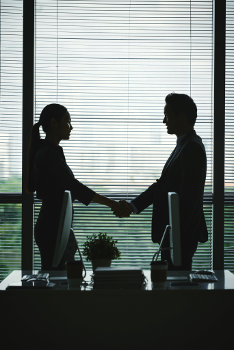 Business partnership